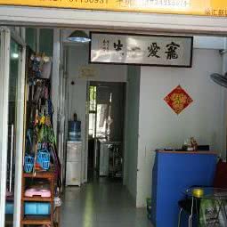 犬嘟社宠物店:上海城区徐汇区上海南站附近