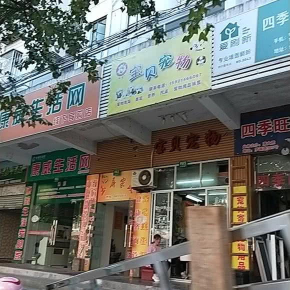 宝贝宠物(罗城路店):上海城区徐汇区上海南站附近