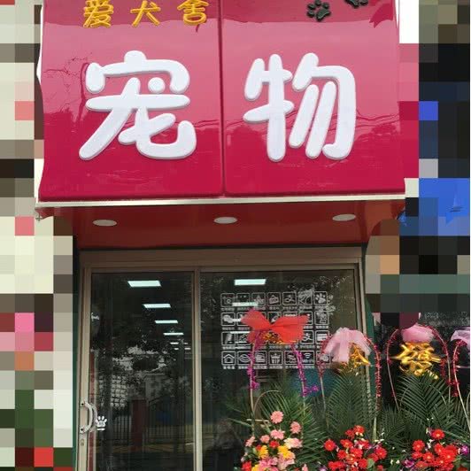 爱犬舍:上海城区徐汇区上海南站附近