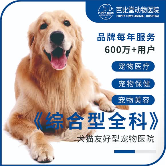 芭比堂动物医院(上中路分院):上海城区徐汇区上海南站附近