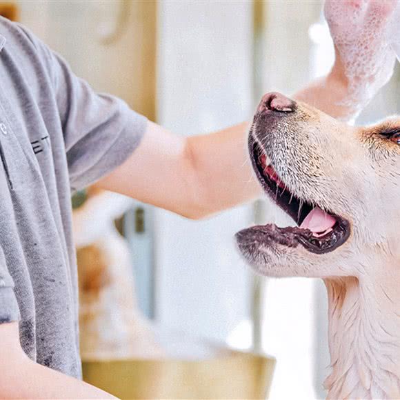 PETKIT小佩宠物(零陵店):上海城区徐汇区万体馆附近