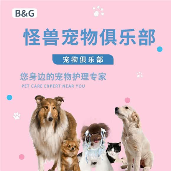 B&G怪兽宠物俱乐部·萌宠售卖:上海城区长宁区中山公园/江苏路附近