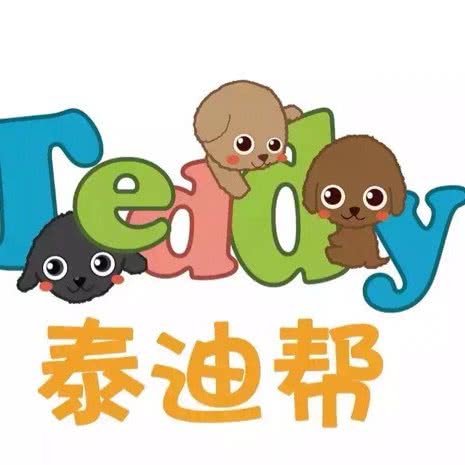 泰迪帮Studio:北京城区西城区新街口附近