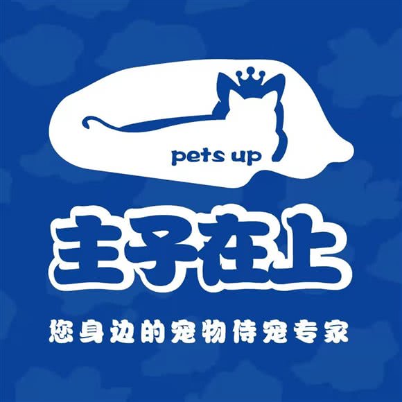 主子在上·影院沉浸式撸猫·精品购宠连锁(中山公园店):上海城区长宁区中山公园/江苏路附近