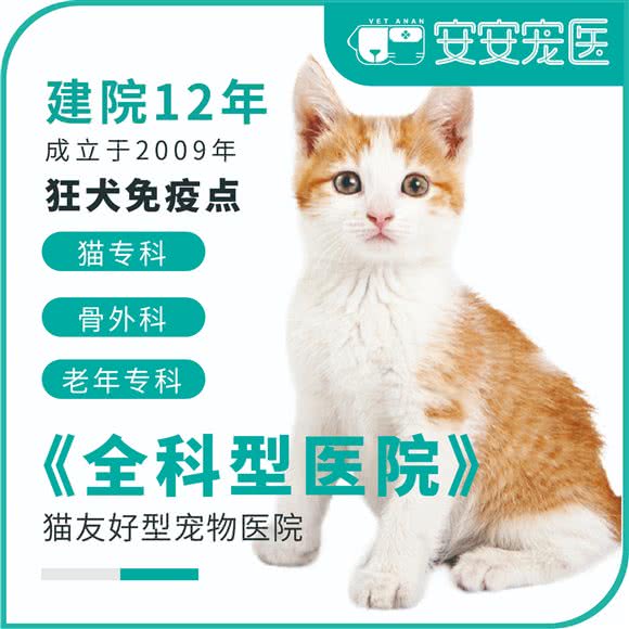 安安宠医·上海宁安宠物诊所(犬猫综合性全科中心·狂犬免疫点):上海城区长宁区中山公园/江苏路附近