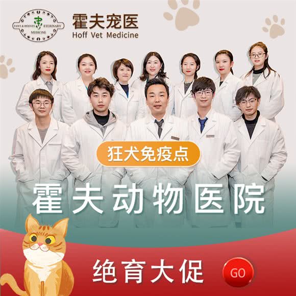 霍夫动物医院·国际牙科专科·免疫单位:上海城区长宁区中山公园/江苏路附近