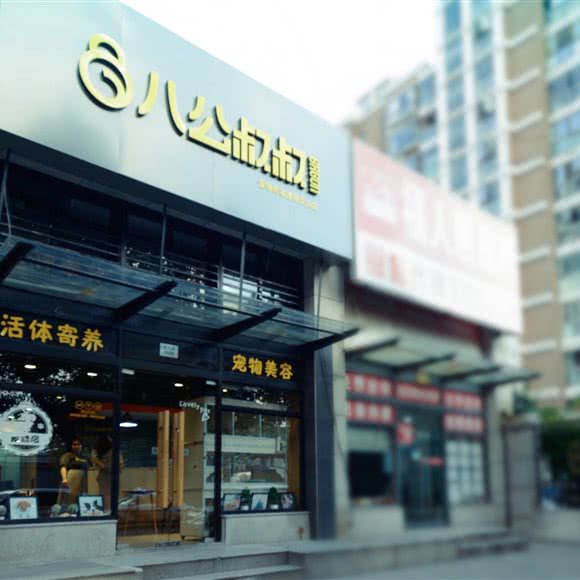 八公叔叔宠物美容连锁(天山店):上海城区长宁区天山附近