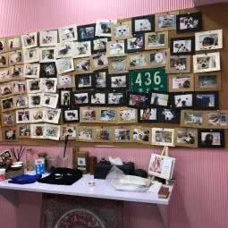 吉樂宠物会所:上海城区长宁区天山附近