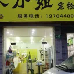 大小姐宠物店:上海城区长宁区北新泾/淞虹路附近