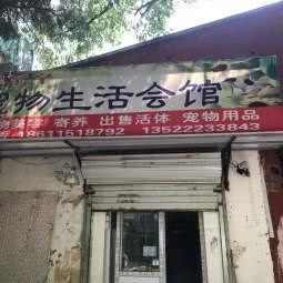 胖丫丫宠物日常生活会馆:北京城区石景山区模式口附近