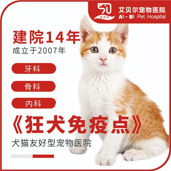 圣安东尼康复医院·艾贝尔宠物医院:上海城区长宁区北新泾/淞虹路附近