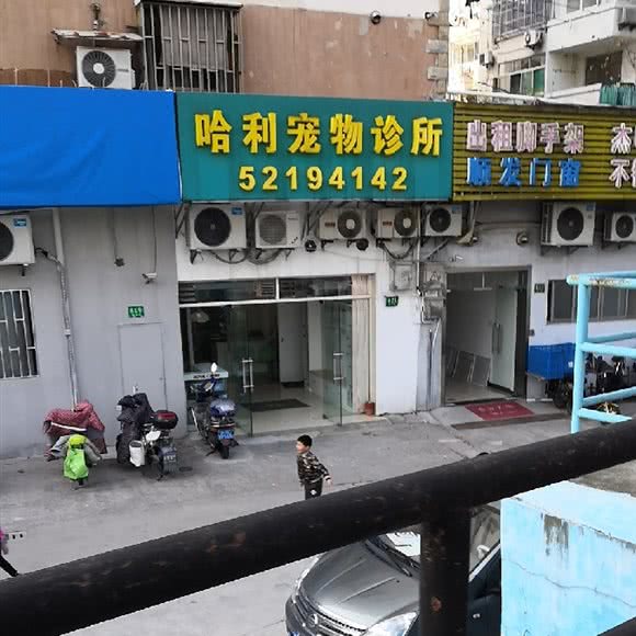 哈利宠物医院:上海城区长宁区北新泾/淞虹路附近