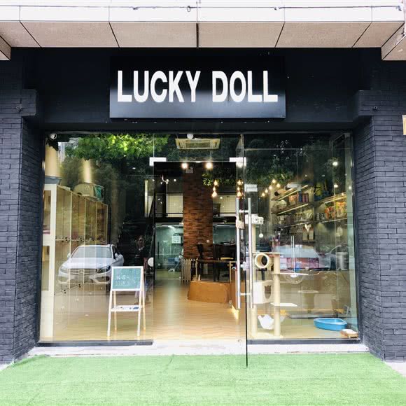 喜芮狗狗生活馆:上海城区长宁区虹桥/古北附近