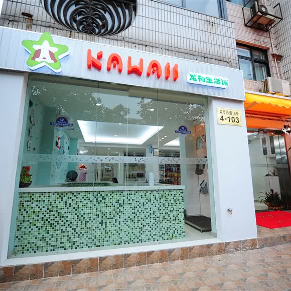 Kawaii宠物:上海城区长宁区虹桥/古北附近