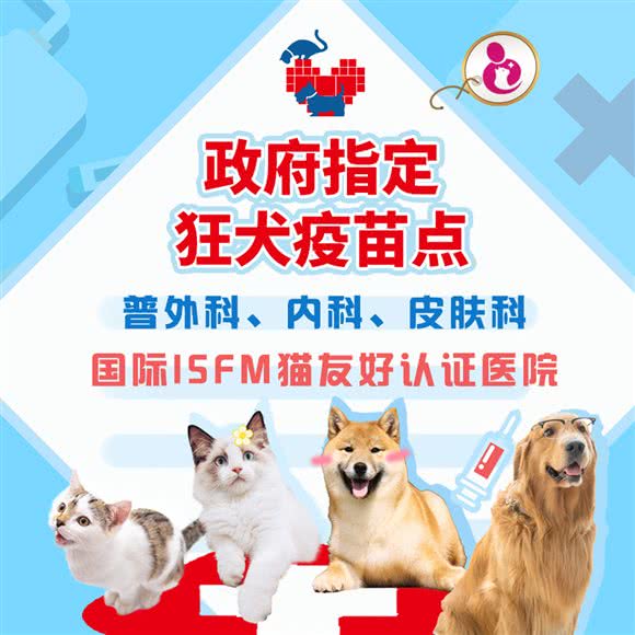 领华宠医·西西宠物医院(普外科中心·狂犬免疫定点·猫友好型诊所):上海城区长宁区虹桥/古北附近