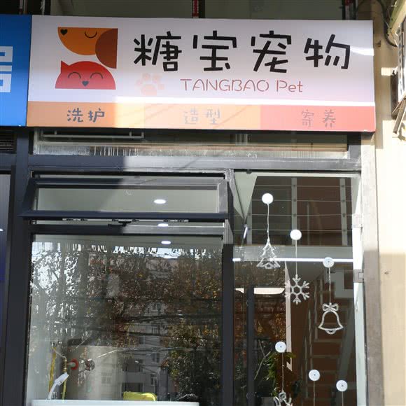 糖宝宠物:上海城区长宁区上海影城/新华路附近
