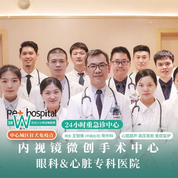 安安宠医·24h汪汪小公馆宠物医院(内视镜微创手术中心):上海城区长宁区上海影城/新华路附近