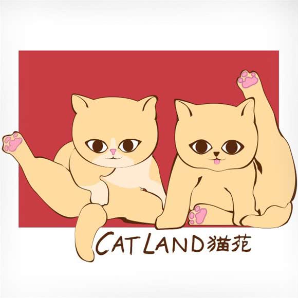 猫园购宠猫舍:上海城区长宁区上海动物园附近