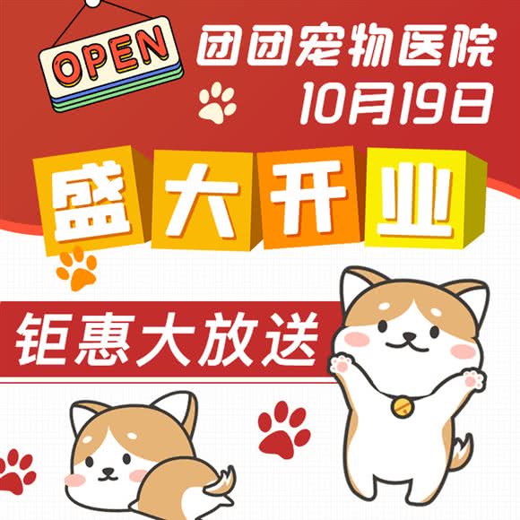 团团宠物医院·24小时·犬猫亲善型医院:上海城区长宁区上海动物园附近