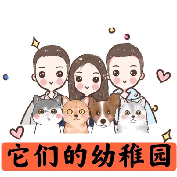 它们的幼稚园家庭式散养:上海城区长宁区娄山关路/威宁路附近