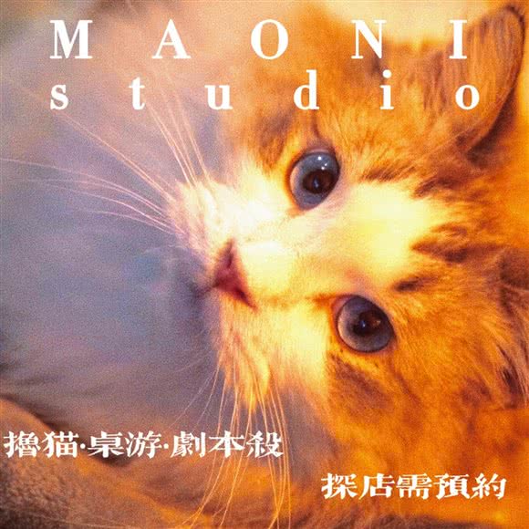 猫匿撸猫馆·桌游剧本杀:上海城区静安区静安寺附近