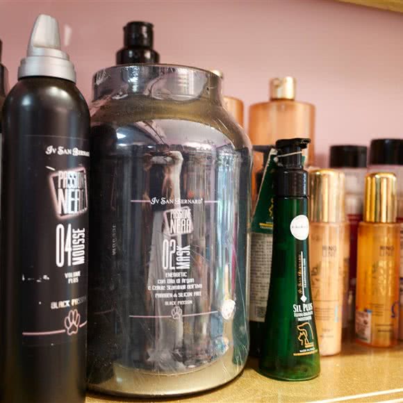 GLIDER PETSHOP:上海城区静安区静安寺附近