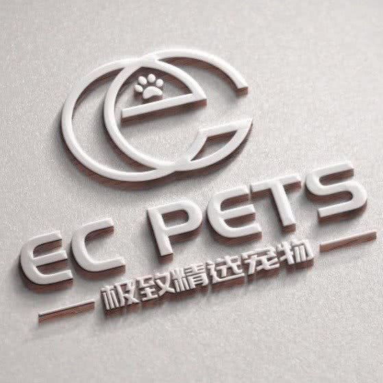 EC PETS极致精选宠物杯子犬萌宠:上海城区静安区静安寺附近