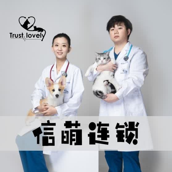 信萌宠物医院静安分院·国际猫友好医院(武定路店):上海城区静安区静安寺附近