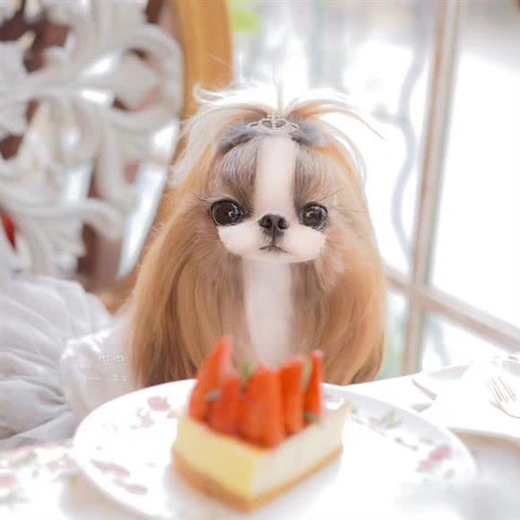 迪熹宠物烘焙研究社:上海城区静安区南京西路附近