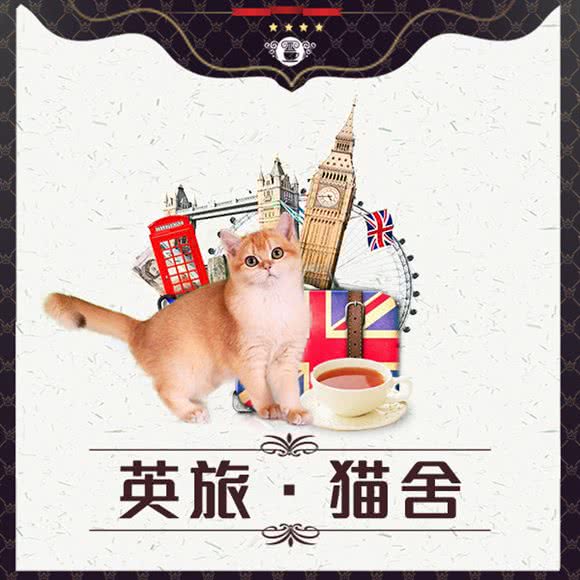 英旅猫舍:上海城区静安区南京西路附近