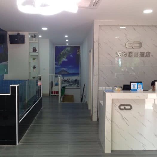 CD宠物假日酒店:上海城区静安区闸北公园附近