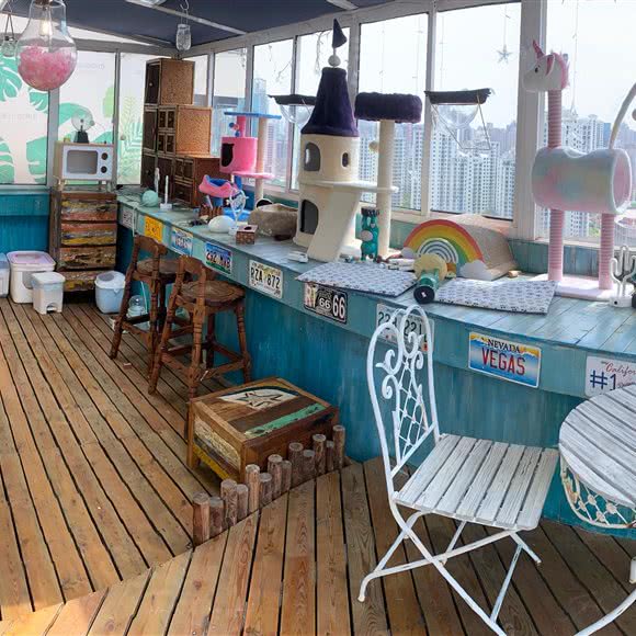 Miu King宠物伊甸园:上海城区静安区上海火车站/客运汽车总站附近