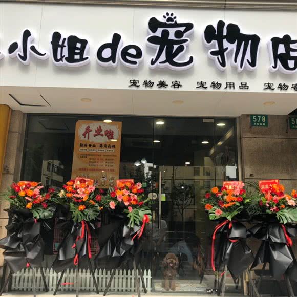 王小姐de宠物店:上海城区静安区上海火车站/客运汽车总站附近