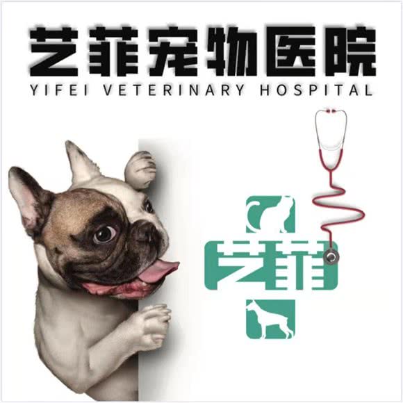 艺菲宠物医院·犬证登记点免疫点:上海城区静安区上海火车站/客运汽车总站附近