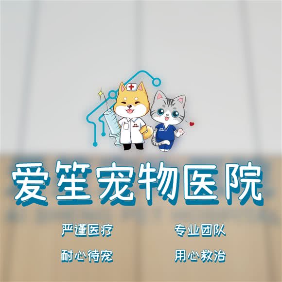 爱笙宠物医院:上海城区静安区上海火车站/客运汽车总站附近