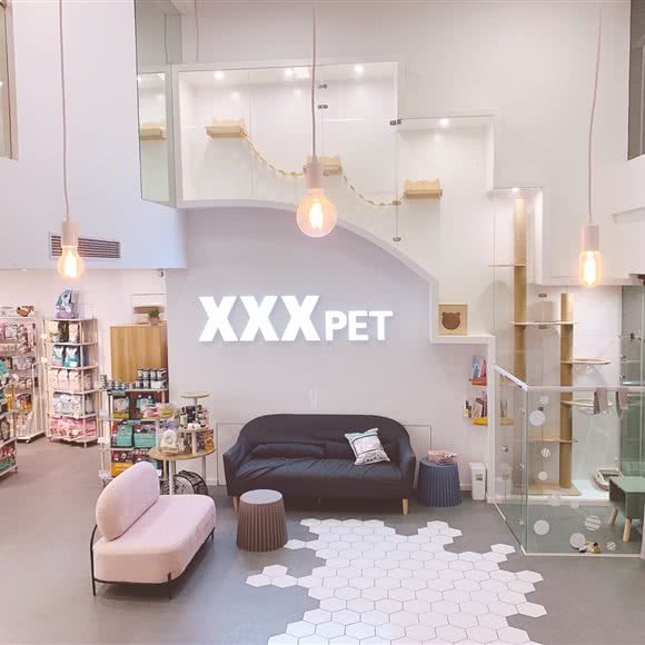 某某宠物 XXX PET:上海城区静安区大宁地区附近