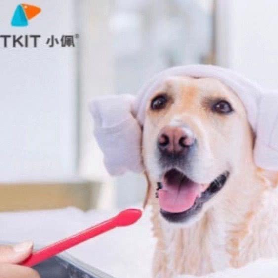 PETKIT小佩宠物（延长路店）(延长店):上海城区静安区大宁地区附近