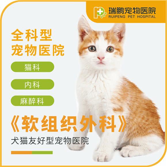 瑞鹏宠物医院(宜川分院):上海城区静安区大宁地区附近