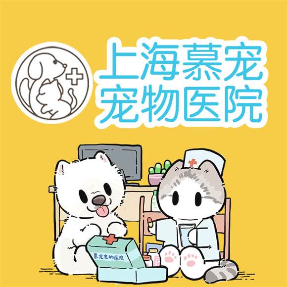 天津慕宠宠物医院:上海城区静安区大宁地区附近