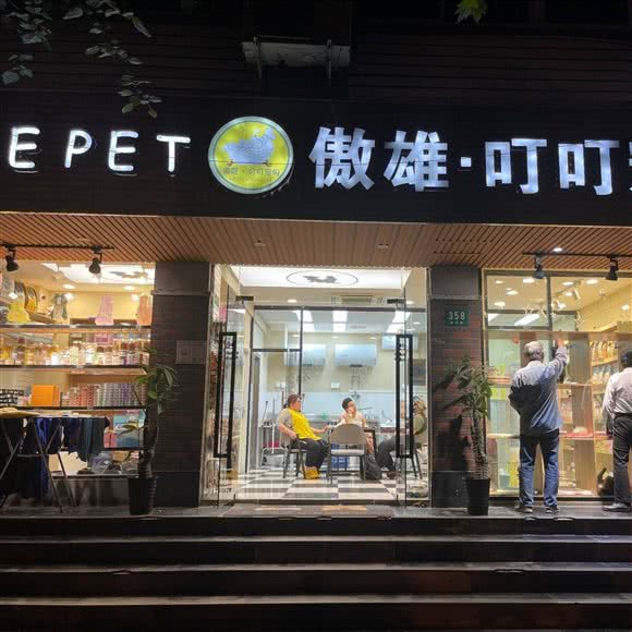 傲雄叮叮宠物美容寄养(延平路店):上海城区静安区同乐坊/江宁路附近