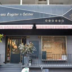 980 Dogster n Catster:上海城区静安区同乐坊/江宁路附近
