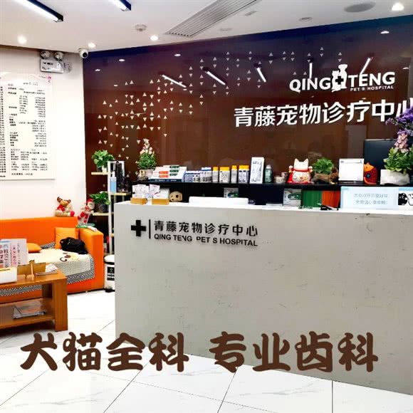 青藤宠物医院:上海城区静安区同乐坊/江宁路附近