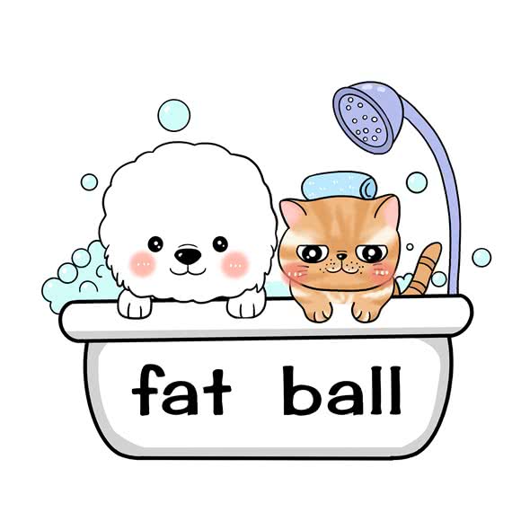 肥球宠物 高端皮毛护理中心:上海城区静安区曹家渡附近