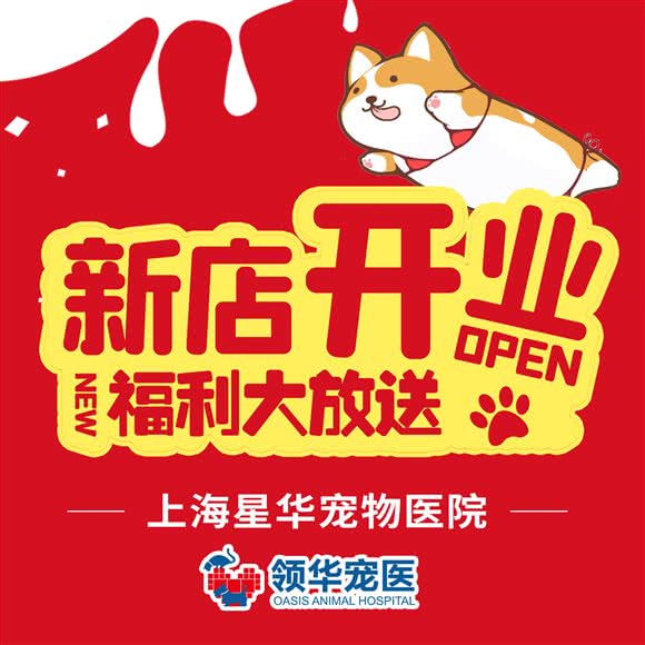 领华宠医·星华宠物医院:上海城区静安区曹家渡附近