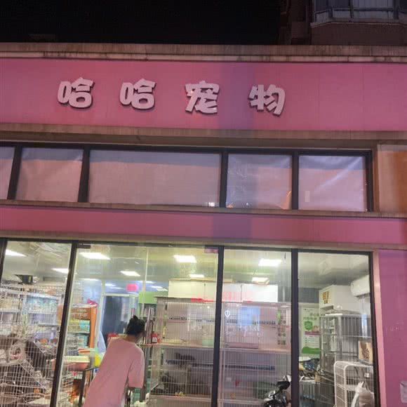 哈哈宠物:上海城区静安区彭浦新村附近