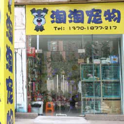 淘淘宠物:上海城区静安区彭浦新村附近