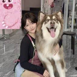 乐宠高端宠物会所:上海城区静安区大悦城附近