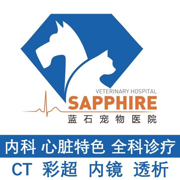 蓝石宠物医院:上海城区静安区大悦城附近