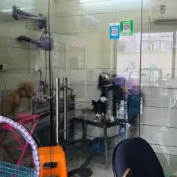 嘉丽宠物:上海城区静安区西藏北路/中兴路附近