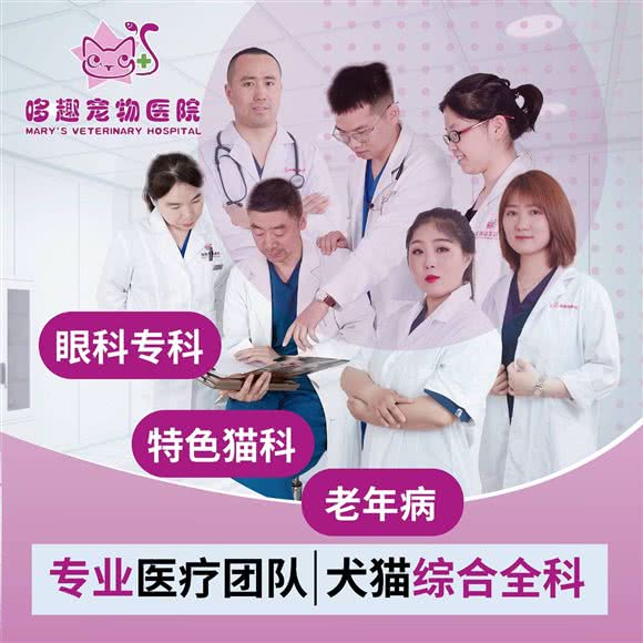 哆趣宠物医院·犬猫专科·狂犬免疫点(静安店):上海城区静安区西藏北路/中兴路附近